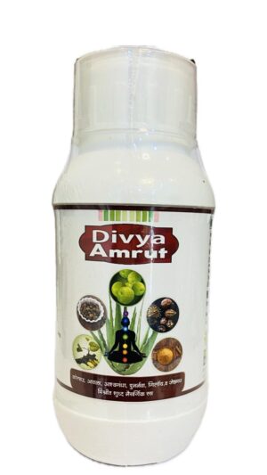 Divya Amrut