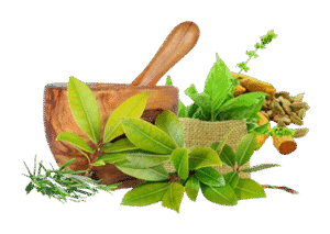 FOOD SUPPLEMENT